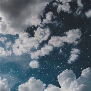 Meet your Posher, Missy